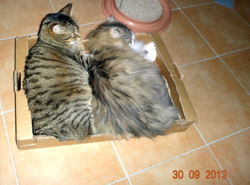 DSC00601.jpg