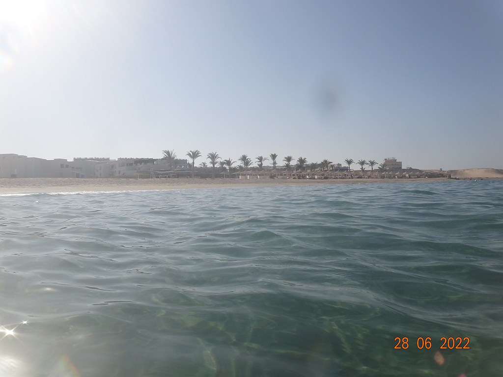 DSC01325.jpg