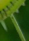 Lösung05.jpg