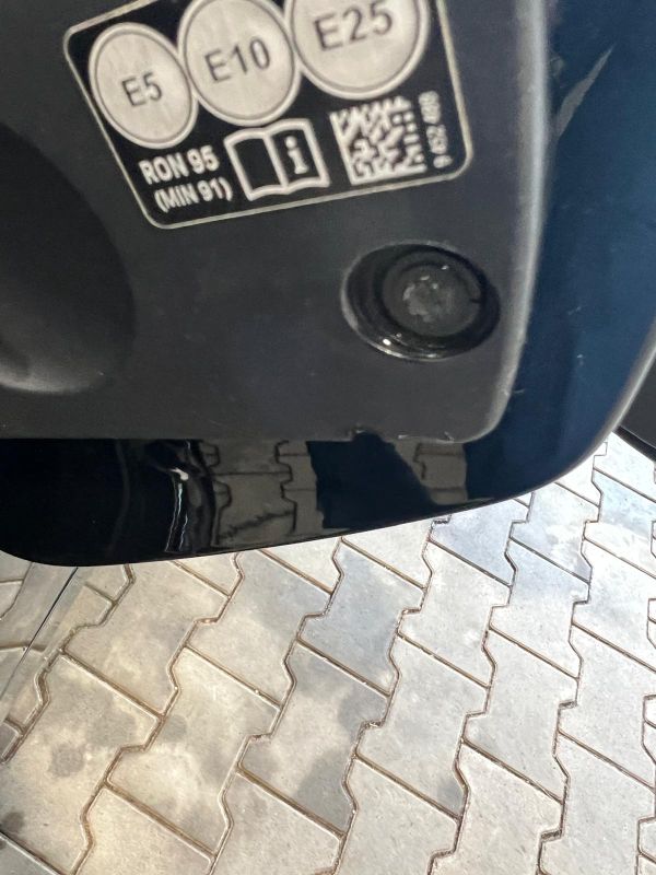Zapfen_gebrochen03.jpg