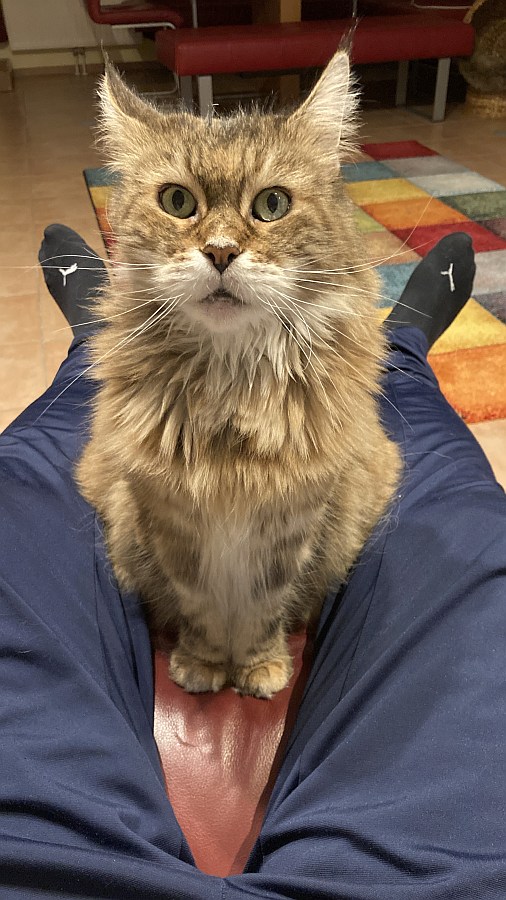 abby.JPG