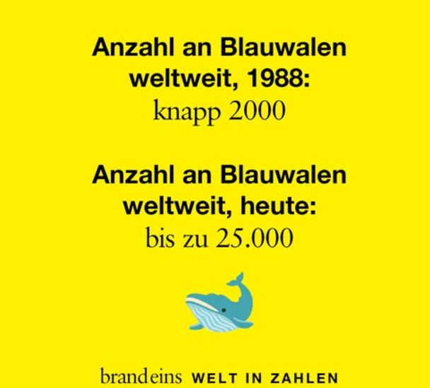 blauwal.jpg