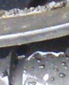 dunlop02.png