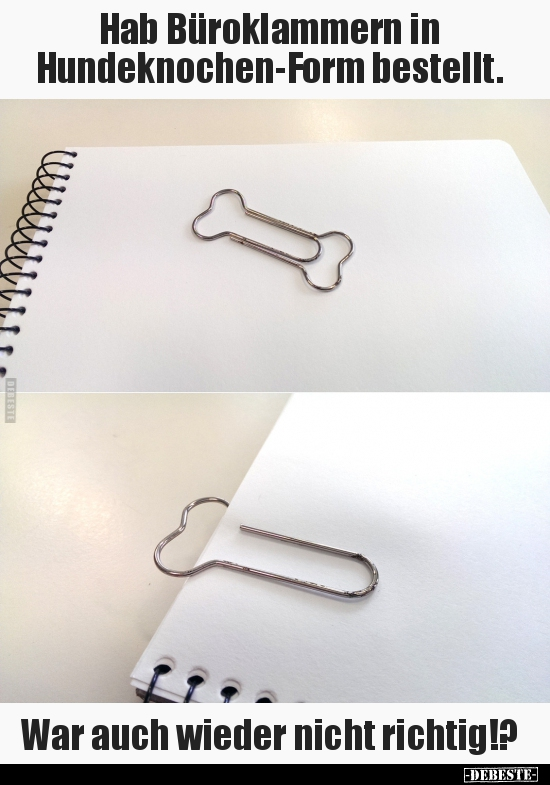 hundeknochen.PNG