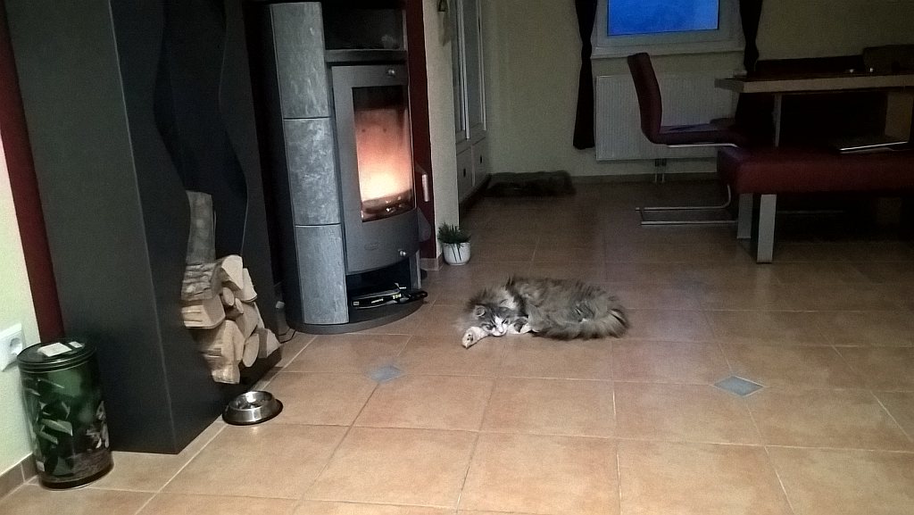 kamin.JPG