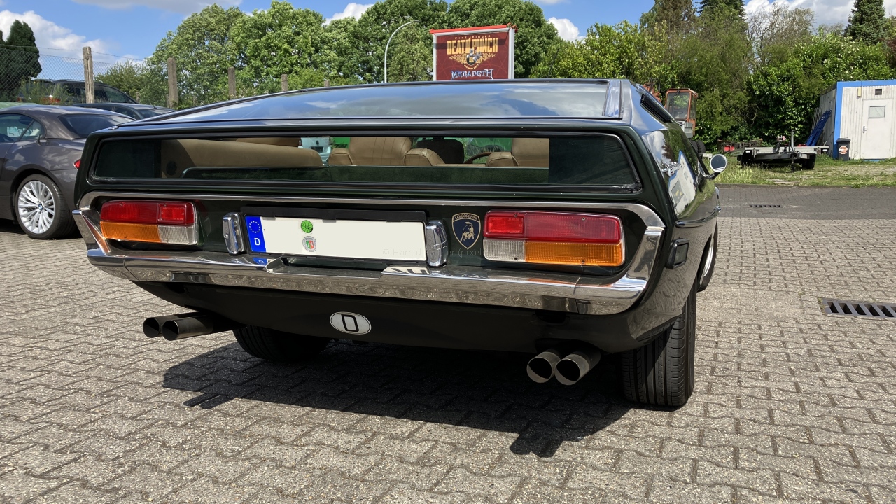 lambo02.JPG