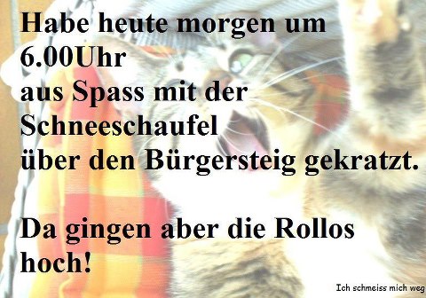 rollo.jpg