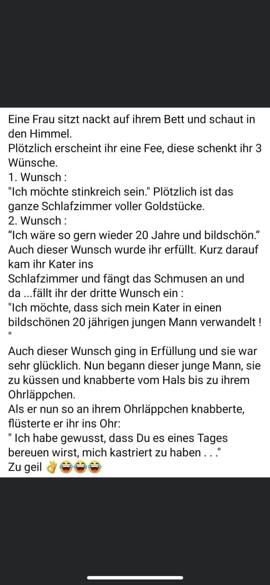 witz.JPG